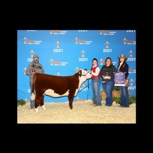 Meet your Posher, Karley